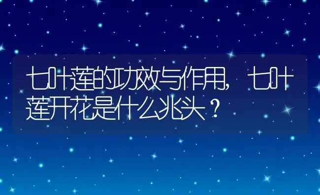 七叶莲的功效与作用,七叶莲开花是什么兆头？ | 养殖科普