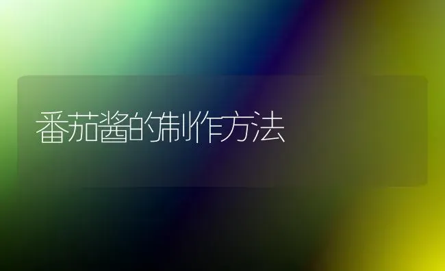 番茄酱的制作方法 | 养殖技术大全