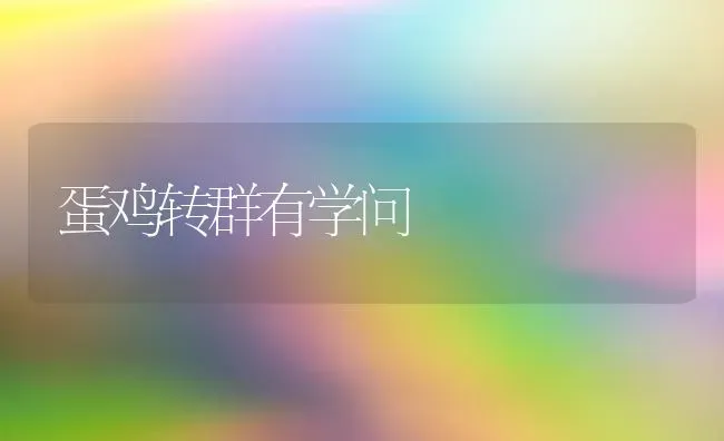 温室西葫芦不结瓜怎么办 | 养殖技术大全