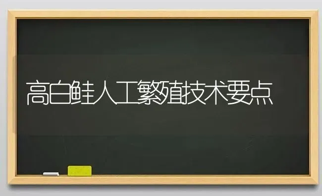 高白鲑人工繁殖技术要点 | 养殖技术大全