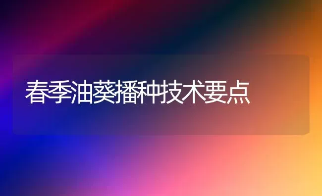 春季油葵播种技术要点 | 养殖技术大全