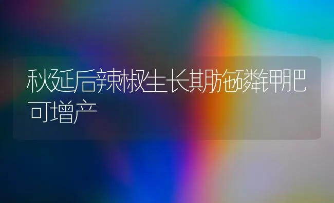 秋延后辣椒生长期施磷钾肥可增产 | 养殖技术大全