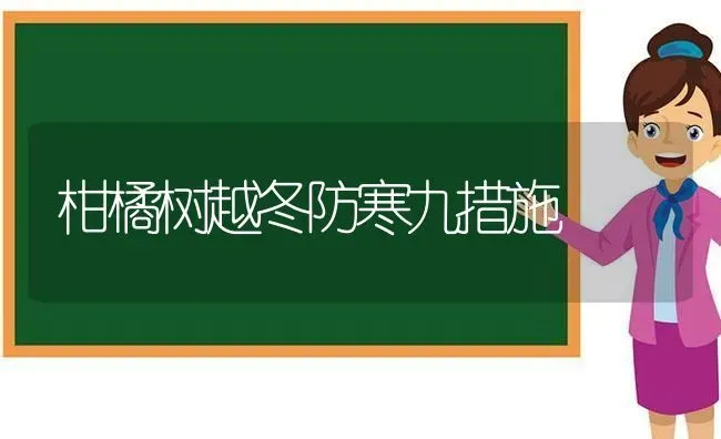 柑橘树越冬防寒九措施 | 养殖技术大全