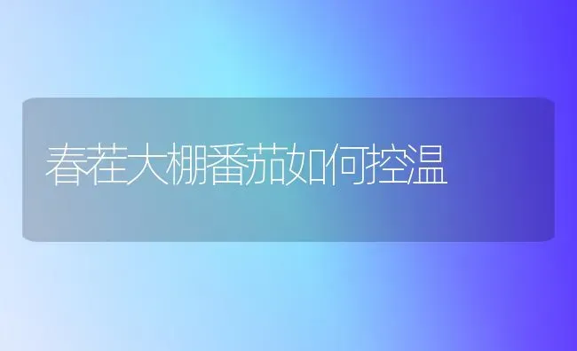 春茬大棚番茄如何控温 | 养殖技术大全