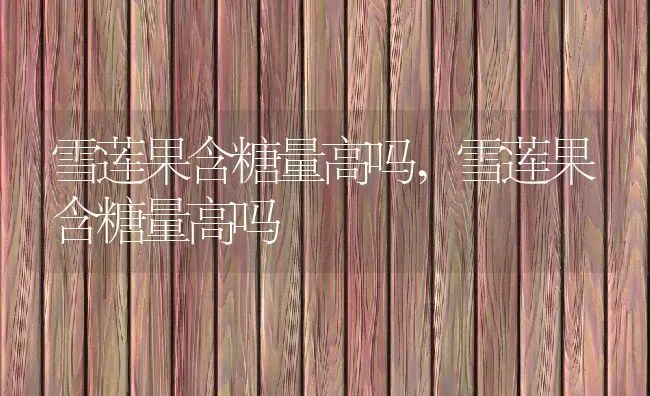 雪莲果含糖量高吗,雪莲果含糖量高吗 | 养殖科普