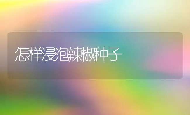 怎样浸泡辣椒种子 | 养殖知识