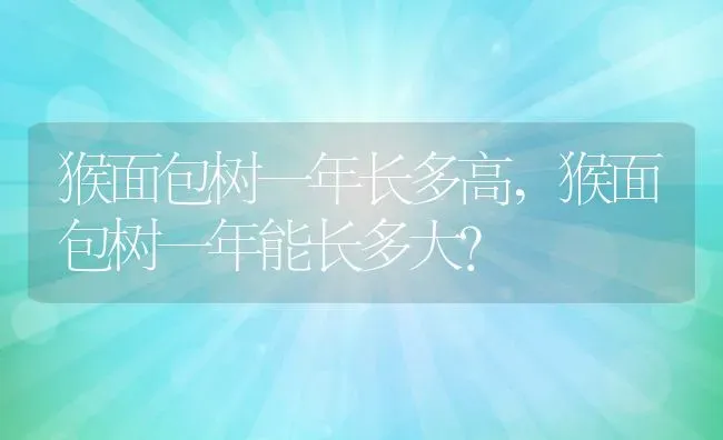 猴面包树一年长多高,猴面包树一年能长多大？ | 养殖科普