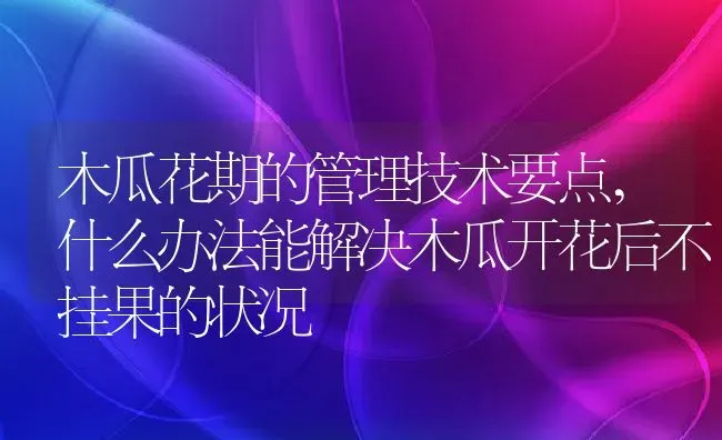 木瓜花期的管理技术要点,什么办法能解决木瓜开花后不挂果的状况 | 养殖学堂
