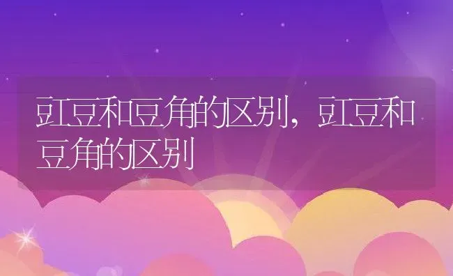 乌龟怎么分辨公母,乌龟怎么分辨公母图片 | 养殖科普