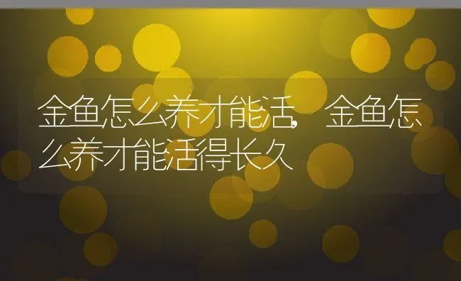 金鱼怎么养才能活,金鱼怎么养才能活得长久 | 养殖科普