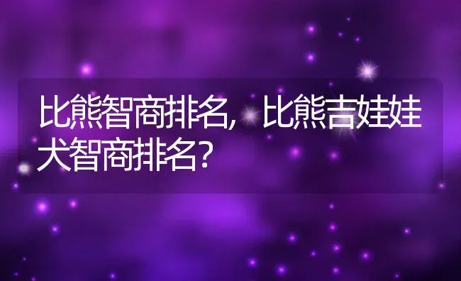 比熊智商排名,比熊吉娃娃犬智商排名？ | 养殖学堂