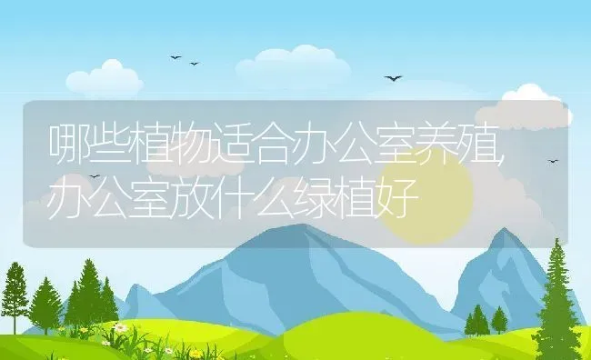 哪些植物适合办公室养殖,办公室放什么绿植好 | 养殖学堂