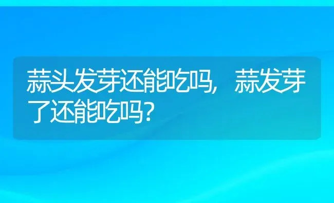 蒜头发芽还能吃吗,蒜发芽了还能吃吗？ | 养殖科普