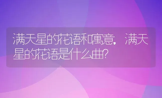 满天星的花语和寓意,满天星的花语是什么曲？ | 养殖科普