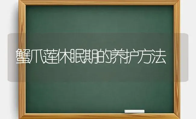 蟹爪莲休眠期的养护方法 | 养殖知识