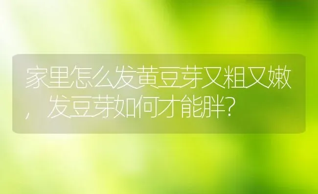 家里怎么发黄豆芽又粗又嫩,发豆芽如何才能胖？ | 养殖科普