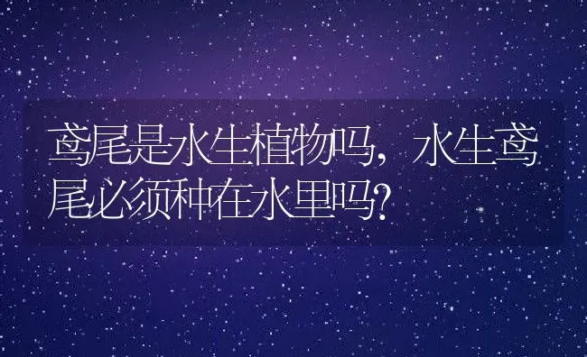 鸢尾是水生植物吗,水生鸢尾必须种在水里吗？ | 养殖科普