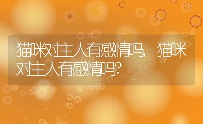 猫咪对主人有感情吗,猫咪对主人有感情吗? | 养殖科普