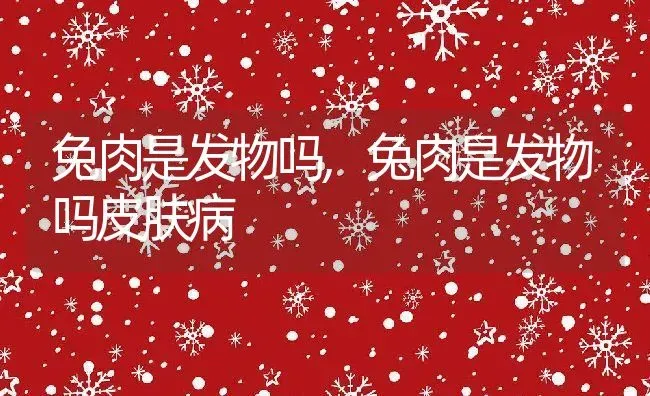 兔肉是发物吗,兔肉是发物吗皮肤病 | 养殖科普