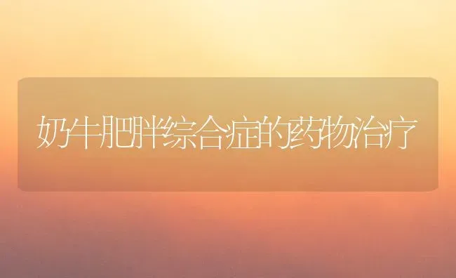 奶牛肥胖综合症的药物治疗 | 养殖知识