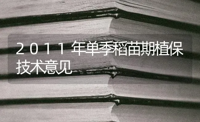 2011年单季稻苗期植保技术意见 | 养殖知识