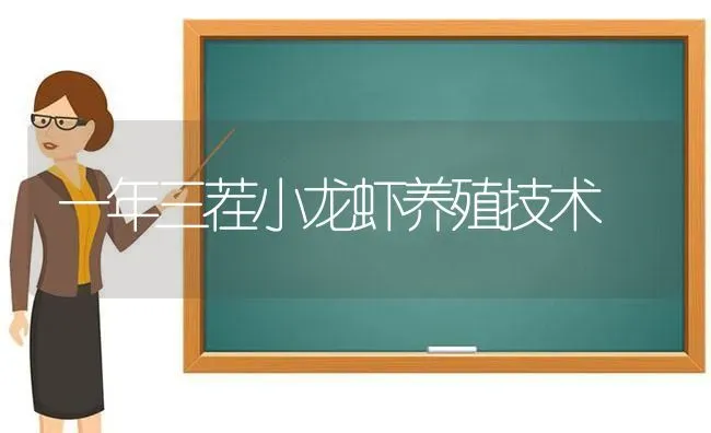 一年三茬小龙虾养殖技术 | 养殖知识