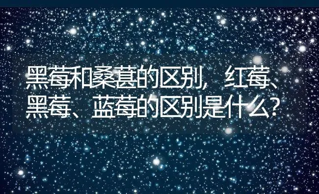 黑莓和桑葚的区别,红莓、黑莓、蓝莓的区别是什么？ | 养殖科普