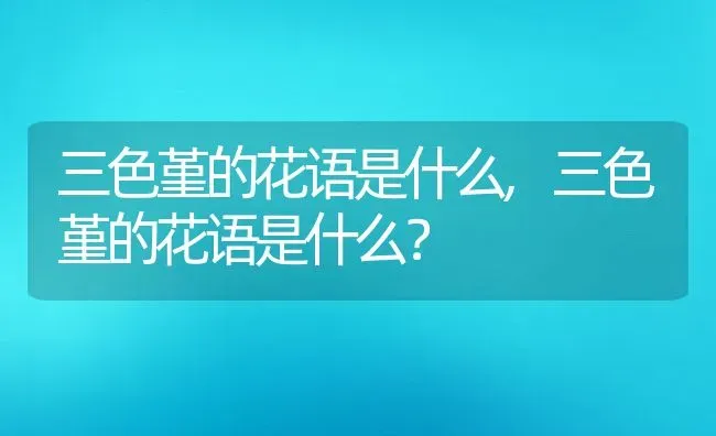 三色堇的花语是什么,三色堇的花语是什么？ | 养殖学堂