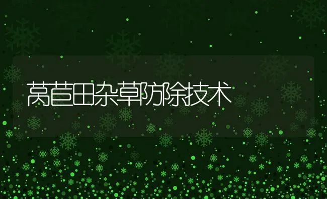 莴苣田杂草防除技术 | 养殖知识