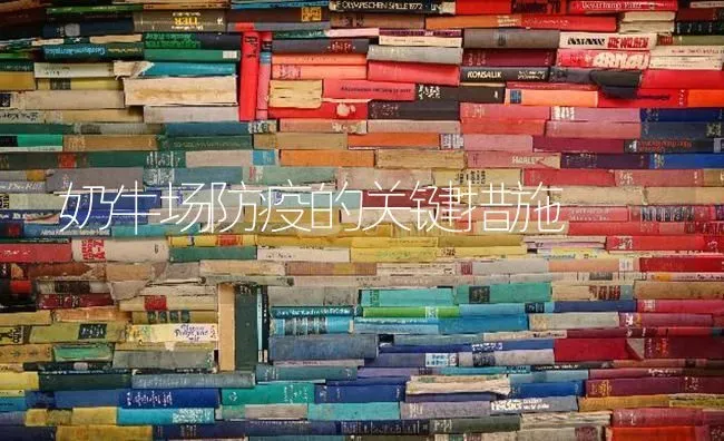 奶牛场防疫的关键措施 | 养殖技术大全