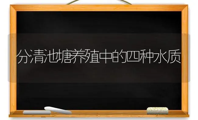 分清池塘养殖中的四种水质 | 养殖知识