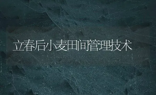 盆栽桂花怎么养? | 养殖技术大全