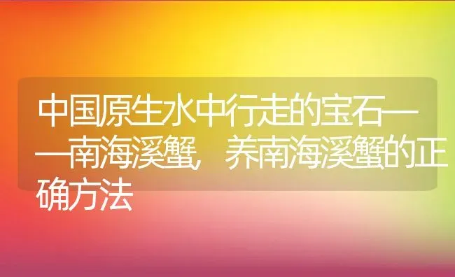 蔬菜一般在几月份种植,什么蔬菜适合8月至12月种植 | 养殖学堂