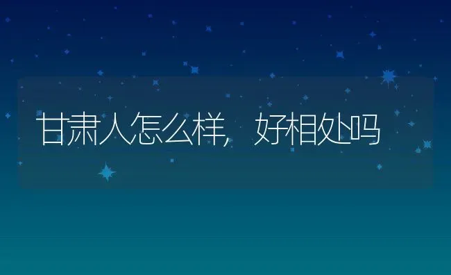 甘肃人怎么样,好相处吗 | 养殖资料