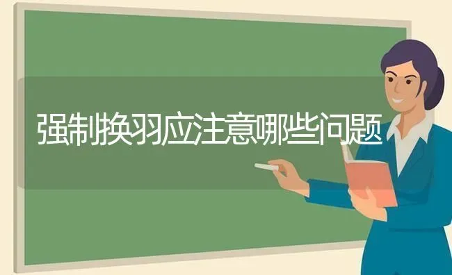 强制换羽应注意哪些问题 | 养殖知识