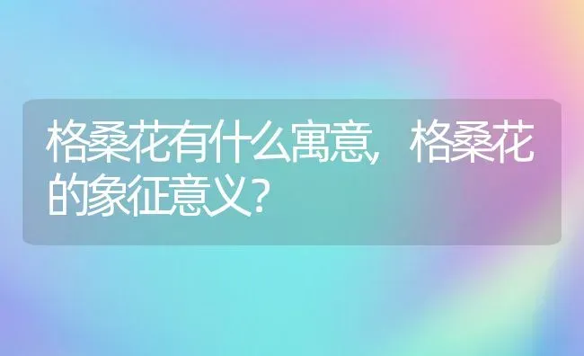 格桑花有什么寓意,格桑花的象征意义？ | 养殖科普