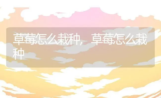 草莓怎么栽种,草莓怎么栽种 | 养殖科普