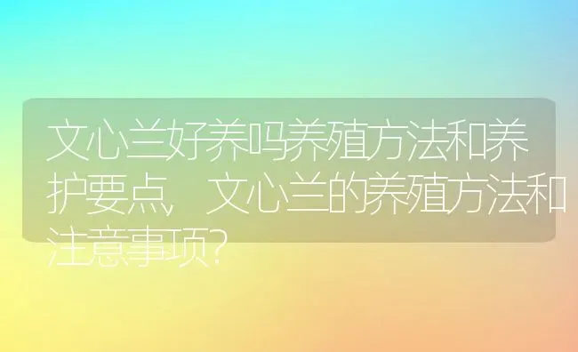 文心兰好养吗养殖方法和养护要点,文心兰的养殖方法和注意事项？ | 养殖科普