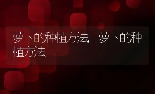 牛磺酸有什么作用,牛磺酸有什么作用与功效 | 养殖科普