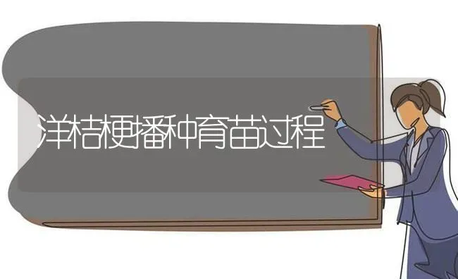 洋桔梗播种育苗过程 | 养殖技术大全