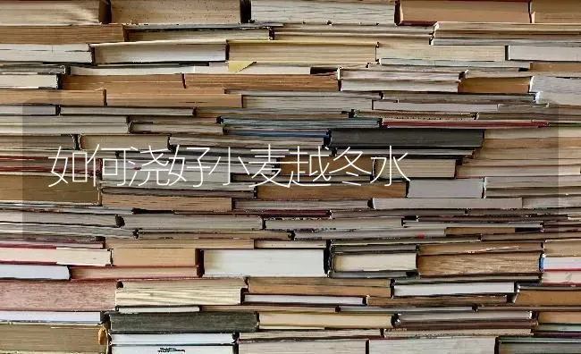 衰老期杏树修剪法 | 养殖知识