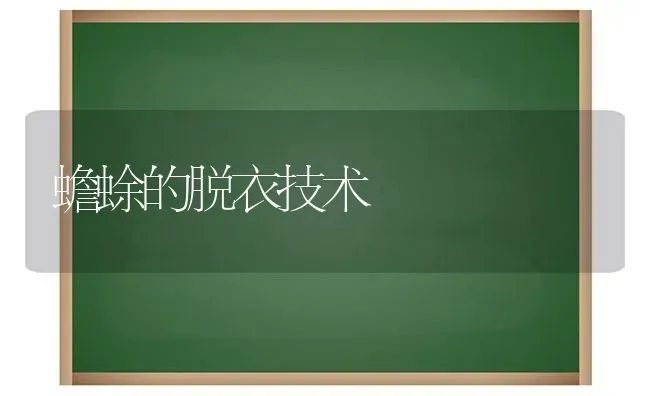 蟾蜍的脱衣技术 | 养殖技术大全