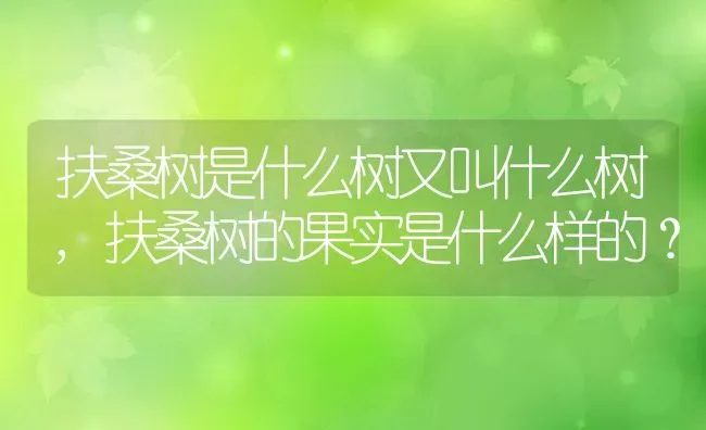 扶桑树是什么树又叫什么树,扶桑树的果实是什么样的？ | 养殖科普