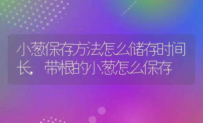 小葱保存方法怎么储存时间长,带根的小葱怎么保存 | 养殖学堂