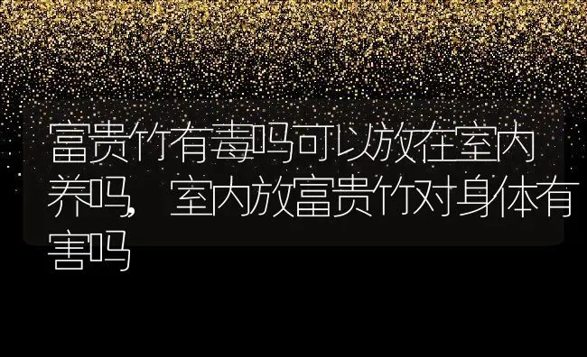 富贵竹有毒吗可以放在室内养吗,室内放富贵竹对身体有害吗 | 养殖学堂