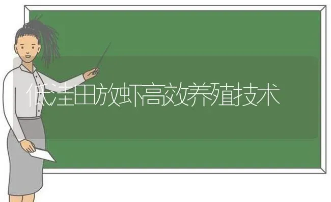 低洼田放虾高效养殖技术 | 养殖技术大全