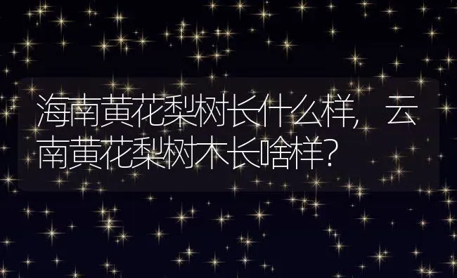 海南黄花梨树长什么样,云南黄花梨树木长啥样？ | 养殖科普