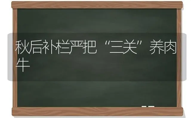 秋后补栏严把“三关”养肉牛 | 养殖技术大全