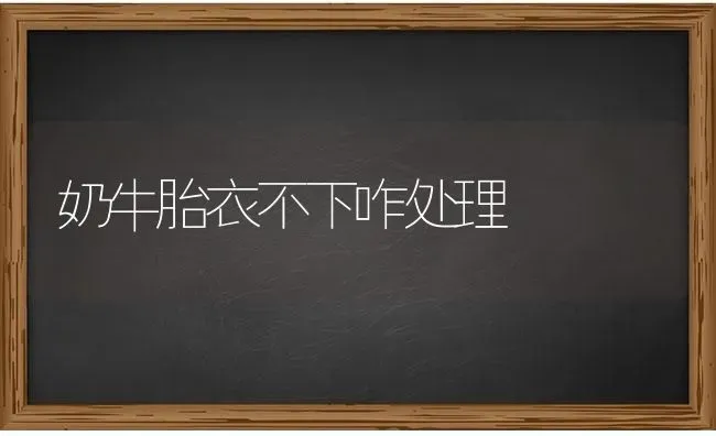奶牛胎衣不下咋处理 | 养殖知识