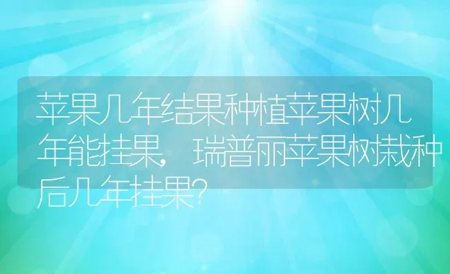 苹果几年结果种植苹果树几年能挂果,瑞普丽苹果树栽种后几年挂果？ | 养殖科普